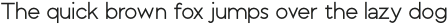 Angesicht Medium otf (500)