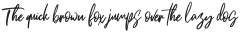 Brotthers Vector otf (400)
