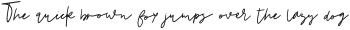 DTC New York Regular otf (400)