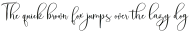 Fanthastic Script Regular ttf (400)