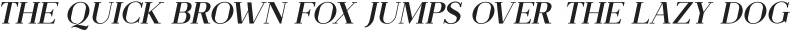 Stinker Book Slant otf (400)