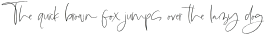 Magic Winter Serif otf (400)