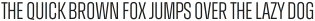 Zuume Light otf (300)