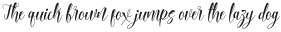 Silliza Script Regular otf (400)