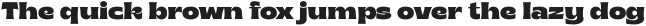 Brice Black otf (900)