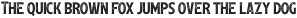 Leftfield Serif R otf (400)