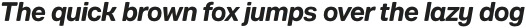 Rationell Bold-Italic otf (700)