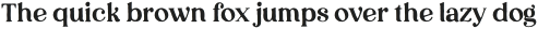 LouiseWalker Serif otf (400)