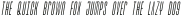Bismark Light Italic otf (300)