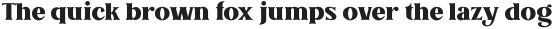 Allaina Bold otf (700)