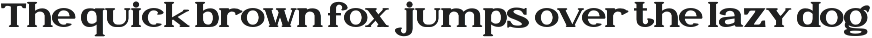 N Derex Display Font preview