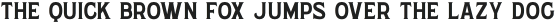 WUB - Northville 01 Medium otf (500)