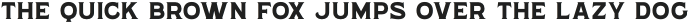WUB - Northville 01 Ultra Bold otf (700)