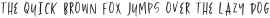 Wild Boy Rustic Sans otf (400)