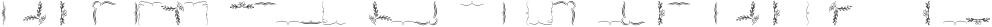 Belluccia Borders Regular otf (400)