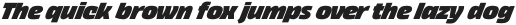 Thicker Black Italic otf (900)