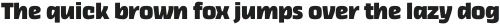 Thicker Extrabold Upright otf (700)