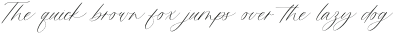 Fantastique Script otf (400)