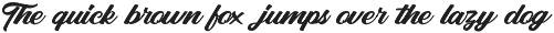 Punch Limit - Font Duo preview