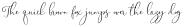Gladiolus Script otf (400)