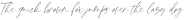 Style Ray otf (400)