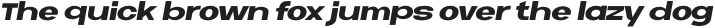 Neue Metana  Black Italic otf (900)