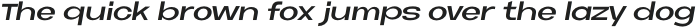 Neue Metana  Semi Bold Italic otf (600)