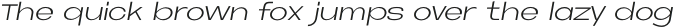 Neue Metana  Light Italic otf (300)