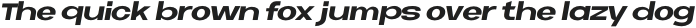 Neue Metana  Extra Bold Italic otf (700)