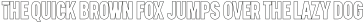Volante Heavy Outline otf (800)