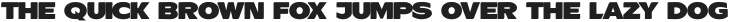 ResotFlagsIT ttf (400)