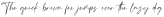 Blackseas otf (900)