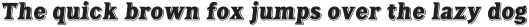 Tavern X Black Italic otf (900)