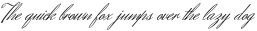 HerrVonMuellerhoff Pro otf (400)