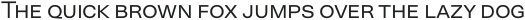 Neogrotesk SC Light otf (300)