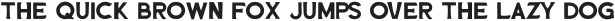 WEIRDOS SERIF Regular ttf (400)