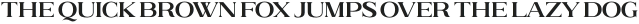 Brushine Collective Serif otf (400)