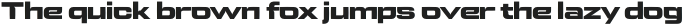 Logik LITE Extended Black otf (900)