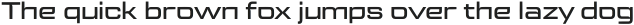 Logik LITE Extended Medium otf (500)