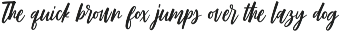 Mirabelle - Modern Script + Extras preview