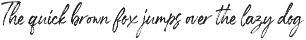 Den Basuky - Rustic Brush preview