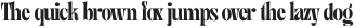 MGT Magface Serif otf (400)