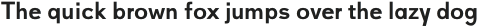 Gale light-italic otf (300)