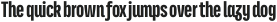 Titular Alt Black otf (900)