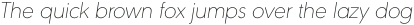 URW Geometric Thin Oblique otf (100)