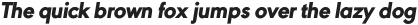 URW Geometric Heavy Oblique otf (800)