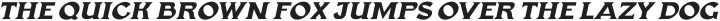 Gasbro Italic otf (400)