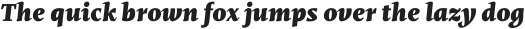 Mastro Caption Black Italic otf (900)