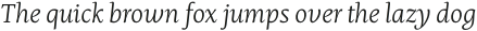 Mastro Caption Light Italic otf (300)