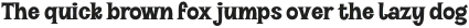 VVDS_Halau_Serif Regular otf (400)